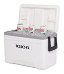 Igloo Marine Contour 25 Quart Ice Box - Perfect for All Your Outdoor Adventures