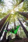 3-Person Heavy-Duty Tensioned Triple Hammock