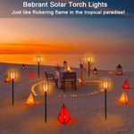 Solar Torch Lights