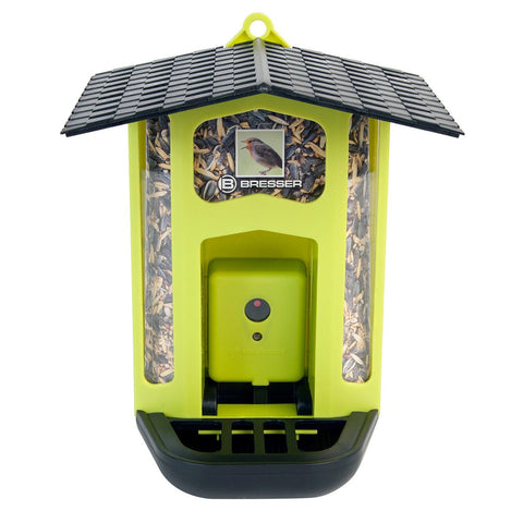 Bird Feeder Camera